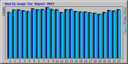 Hourly usage for August 2024