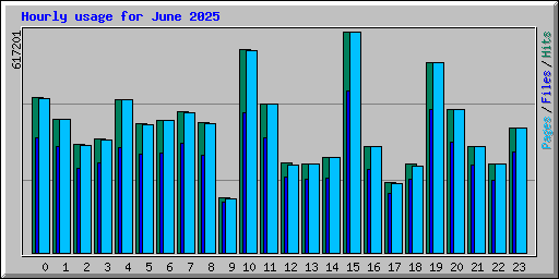 Hourly usage for June 2025