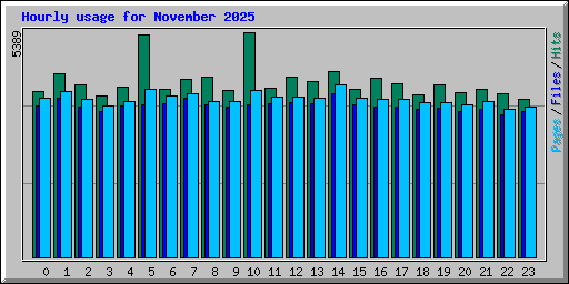 Hourly usage for November 2025