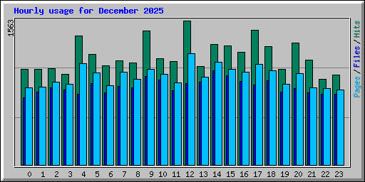 Hourly usage for December 2025