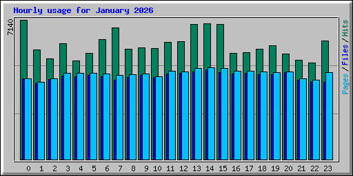 Hourly usage for January 2026