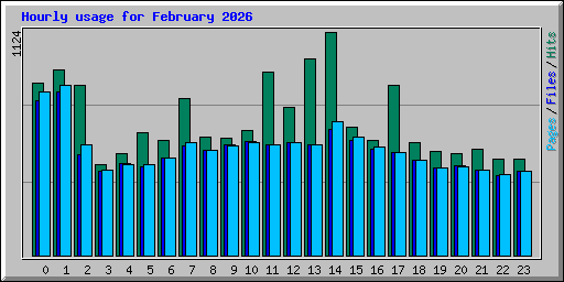 Hourly usage for February 2026