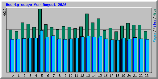 Hourly usage for August 2026